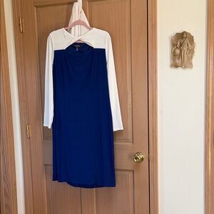 Kasper Long Sleeve Dress in Blue and White